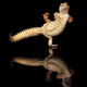 Illustration for article titled Kung fu Gecko will kick your ass first, ask questions later